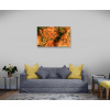 Amber. Modern abstract painting New Media canvas print, signed and numbered